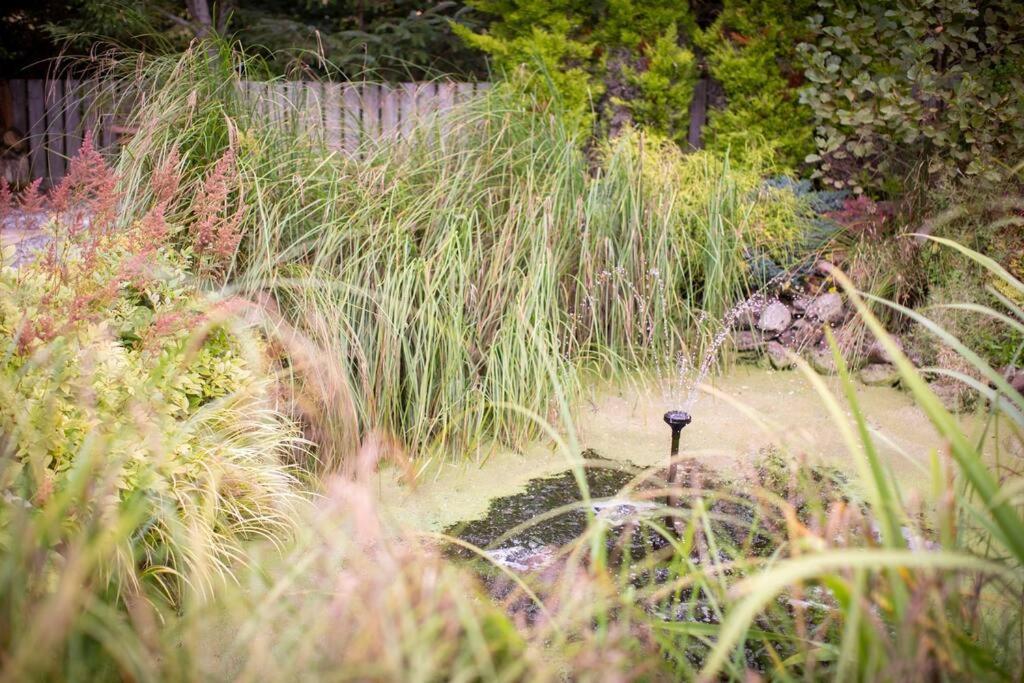 Calm Scottish Country Escape With Hot Tub Sleeps 6 Villa อินเวอร์เนส ภายนอก รูปภาพ